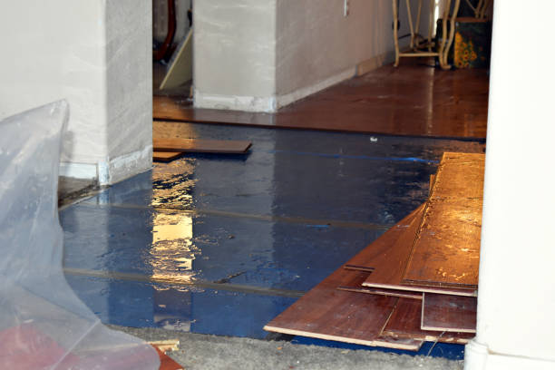 Professional Sewage Cleanup technician working in Brant, MI